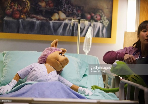 miss piggy surgery